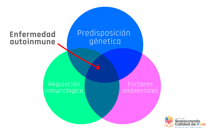 enfermedades autoinmunes - fundación restaurando calidad de vida - programa de apoyo a pacientes