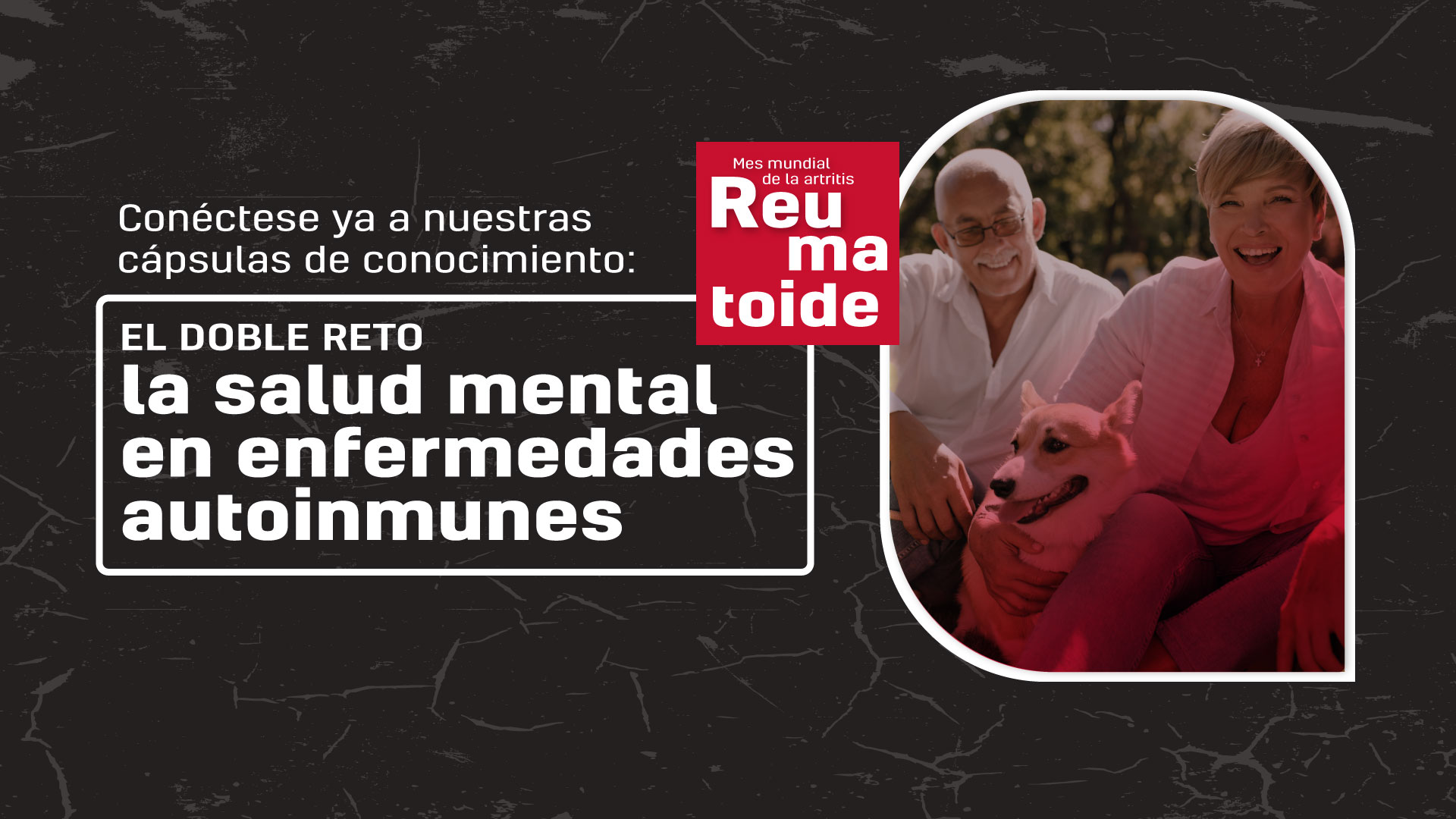 Capsulas - stein cares - fundacion calidad de vida